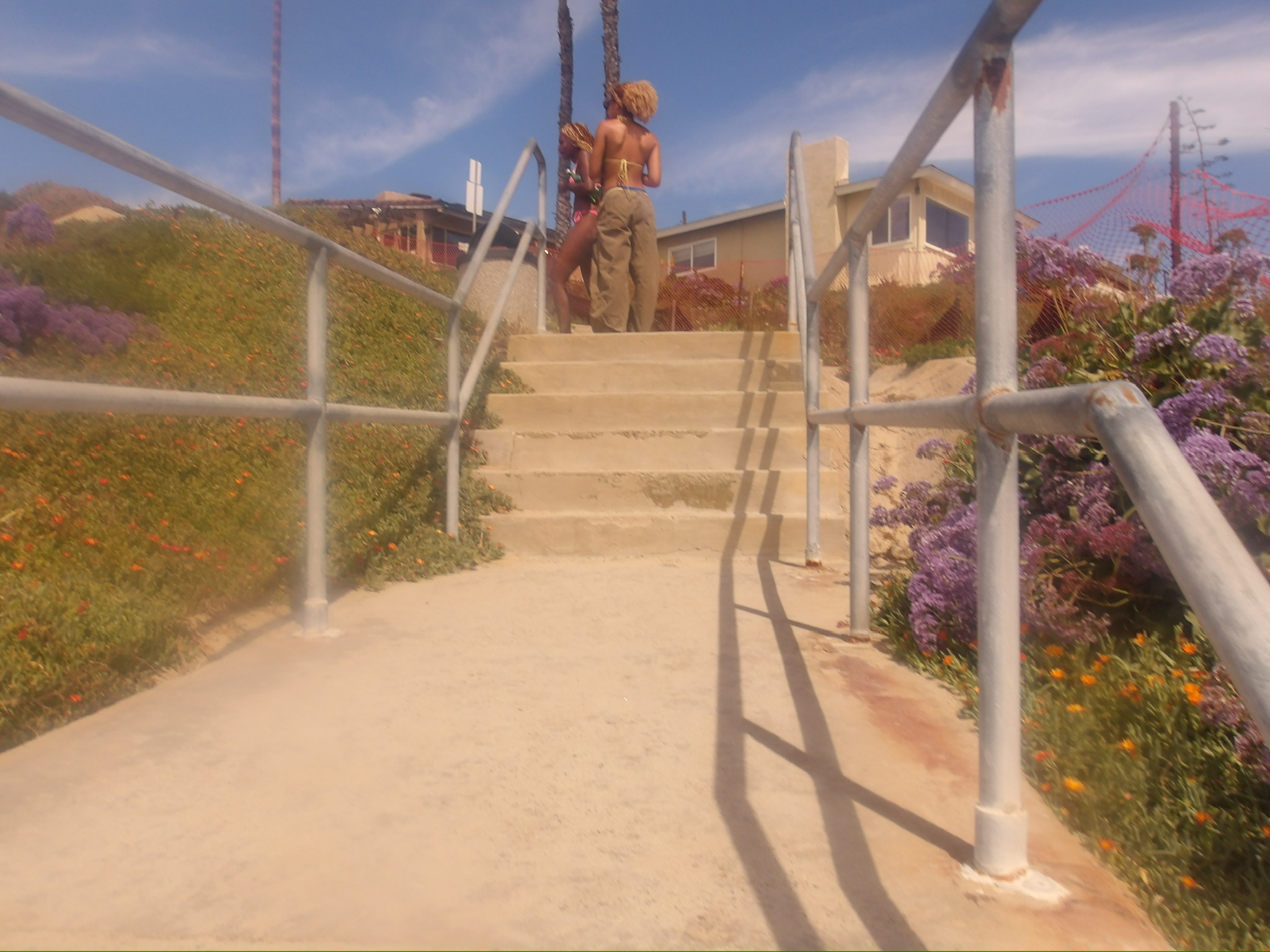 CALIFORNIA SPRING 26 photo